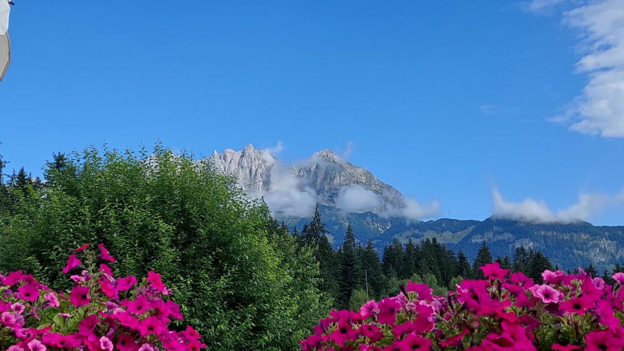 Gartenhotel Rosenhof Bei Kitzbuehel Oberndorf in Tirol Zewnętrze zdjęcie